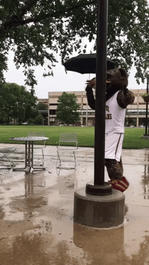 Rain Dance Mascot GIF