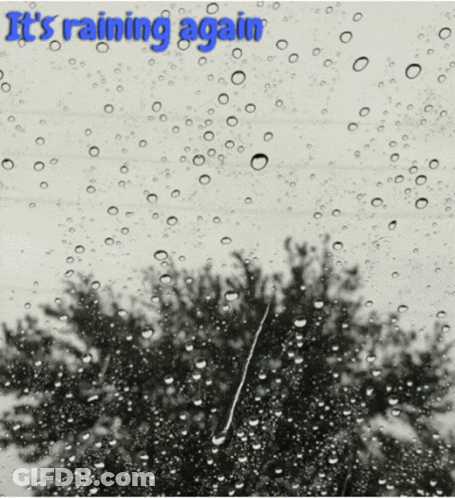 Rain Drops On Window Saying It's Raining Again GIF