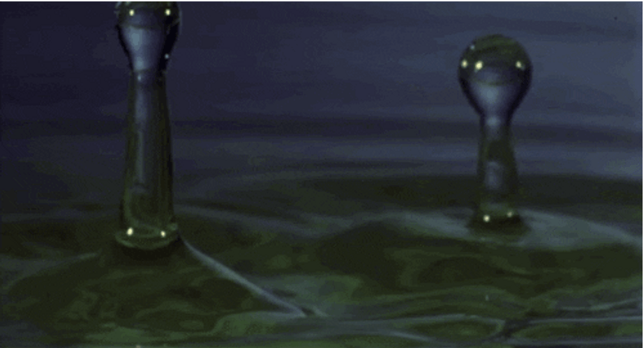 Rain Drops Water Splash GIF