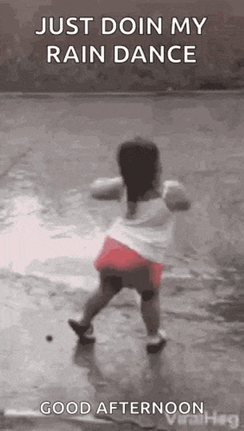 Rain GIF