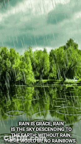 Rain Is Grace Sky Descending No Rain No Rainbows GIF