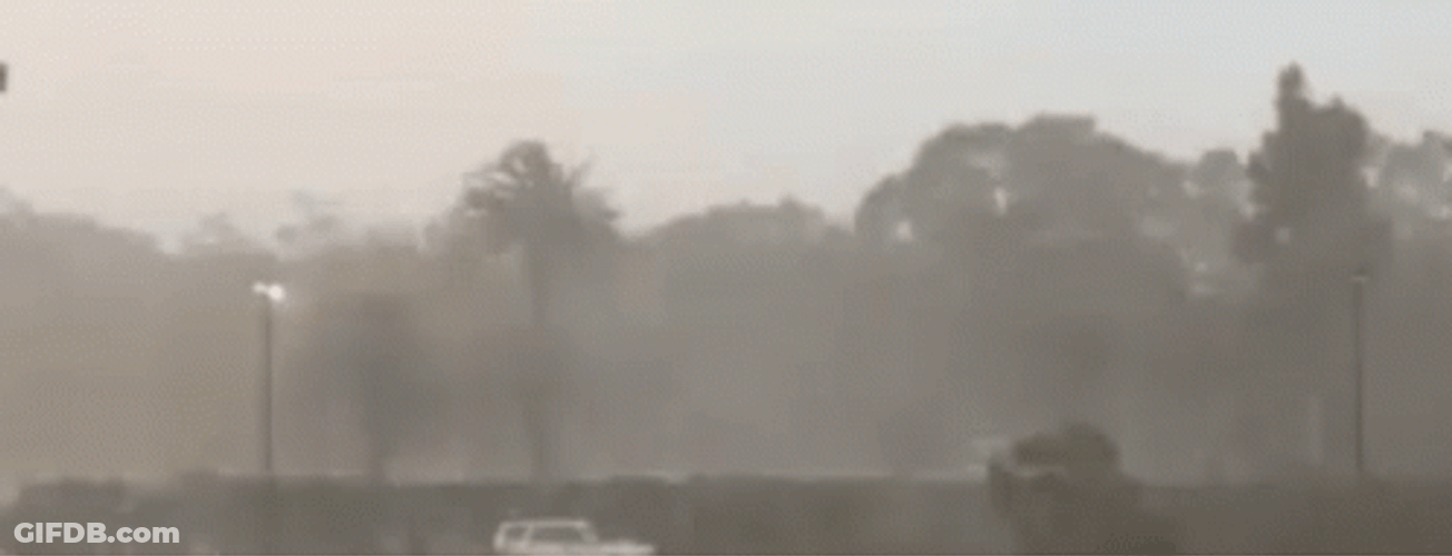 Rain Man GIF