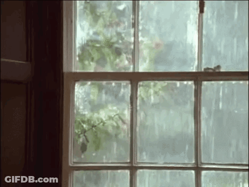 Rain Outside Window With Flying Bird GIF