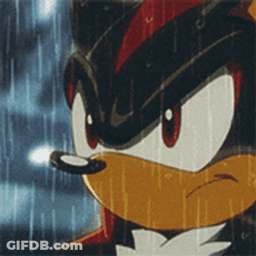 Rain Shadow The Hedgehog GIF