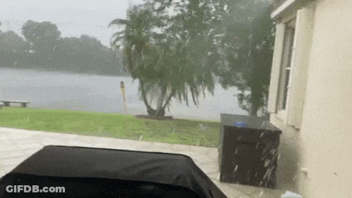Rain Weather GIF