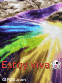 Rainbow Blanket Saying Estoy Viva GIF