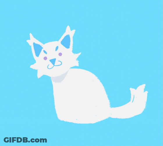 Rainbow Cat Bouncing Up And Down GIF
