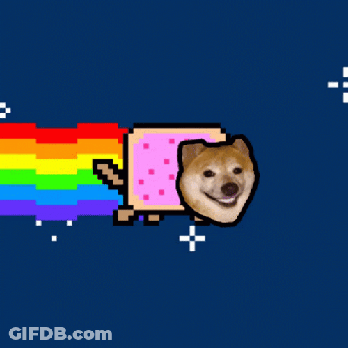 Rainbow Cat Dog Face Swap GIF