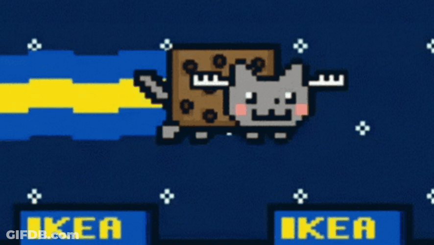 Rainbow Cat Ikea Art Design GIF