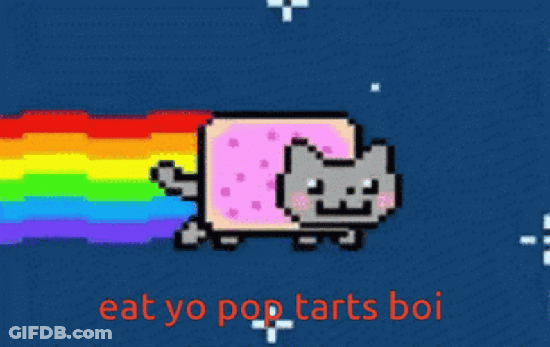 Rainbow Cat Pop Tarts Boi GIF