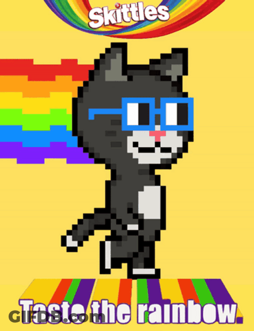 Rainbow Cat Skittles Candy GIF