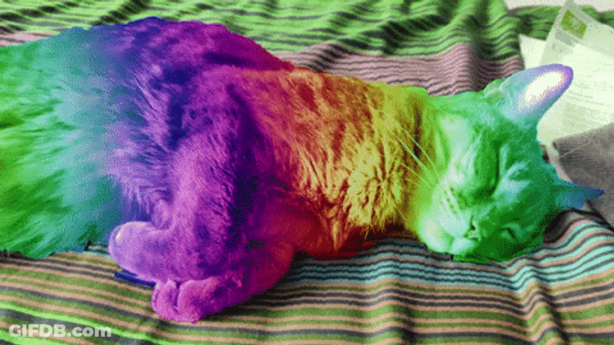 Rainbow Cat Snoozing Soundly GIF