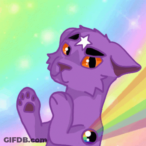 Rainbow Cat Star Bindi Forehead GIF