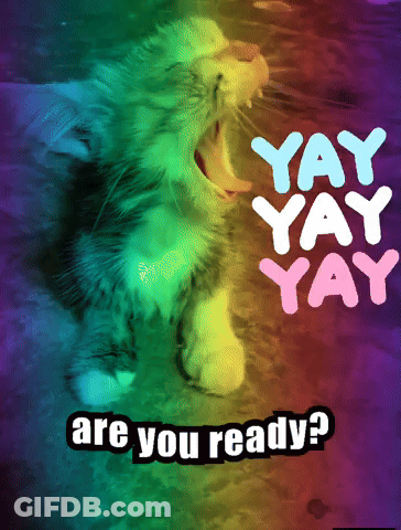 Rainbow Cat Yawning Yay Yay Yay Are You Ready GIF