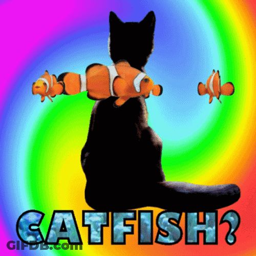 Rainbow Colored Catfish GIF