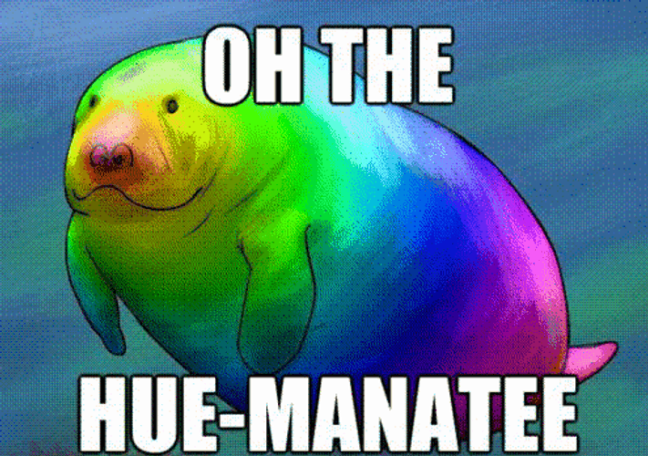 Rainbow Colored Seal Meh Face GIF