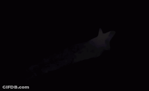 Rainbow Comet Flying Through Space GIF