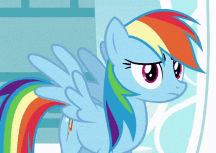 Rainbow Dash Madly Looking GIF