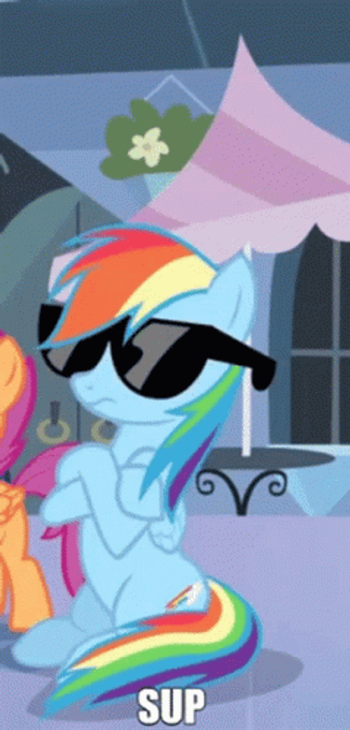 Rainbow Dash Sup GIF