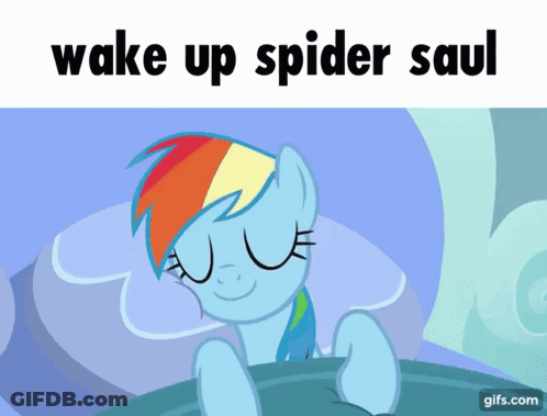 Rainbow Dash Wake Up Spider Saul GIF