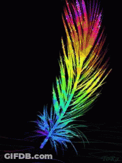 Rainbow Feather With Foxie Name GIF