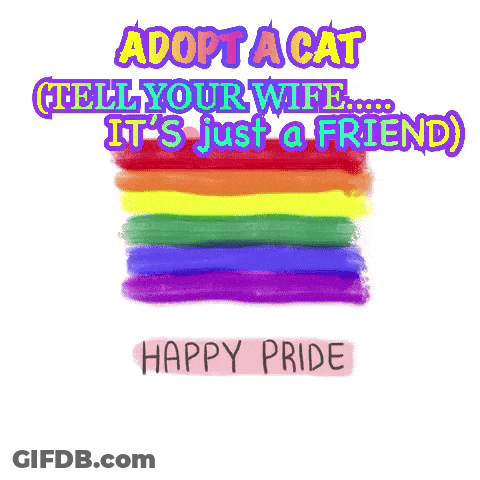 Rainbow Flag Adopt Cat It's Friend Happy Pride GIF