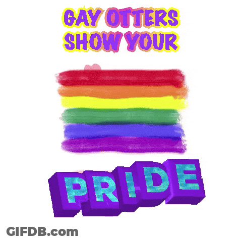 Rainbow Flag Gay Otters Show Your Pride GIF