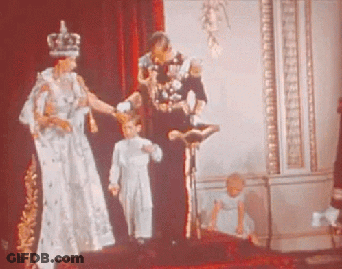 Rainbow Flag Saying Adopt A Cat Tell Your Wife It's Just A Friend Happy Pride GIF