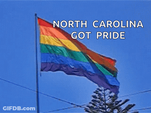 Rainbow Flag Saying North Carolina Got Pride GIF