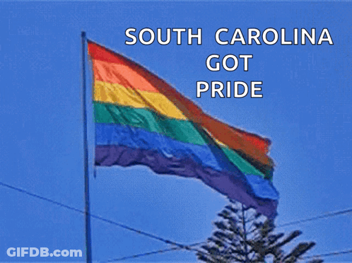 Rainbow Flag South Carolina Got Pride GIF
