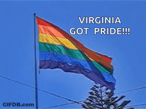 Rainbow Flag Virginia Got Pride GIF