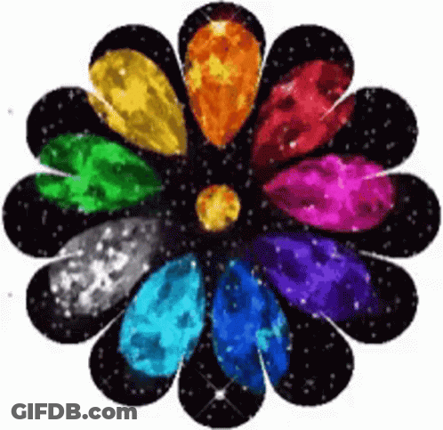 Rainbow Flower With Black Center GIF