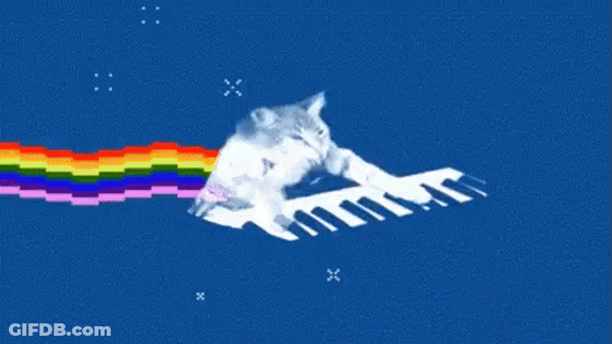 Rainbow Keyboard Cat Playing Music GIF