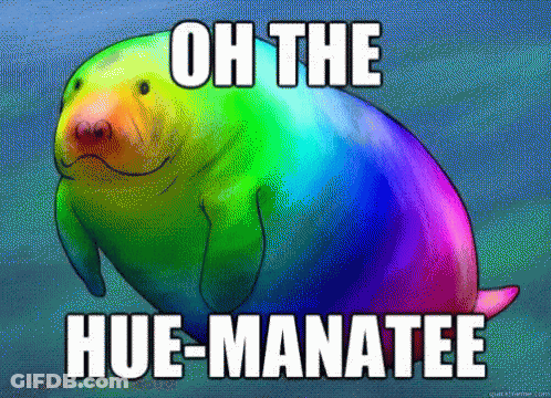 Rainbow Manatee Oh The Hue-Manatee GIF