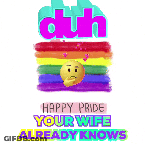 Rainbow Pride Flag Duh Happy Your Wife Knows GIF