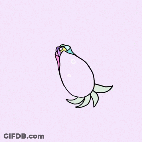 Rainbow Rose With Bubbles GIF