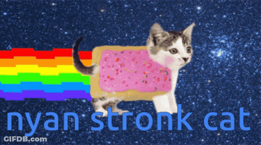 Rainbow Stronk Cat Starry Night GIF