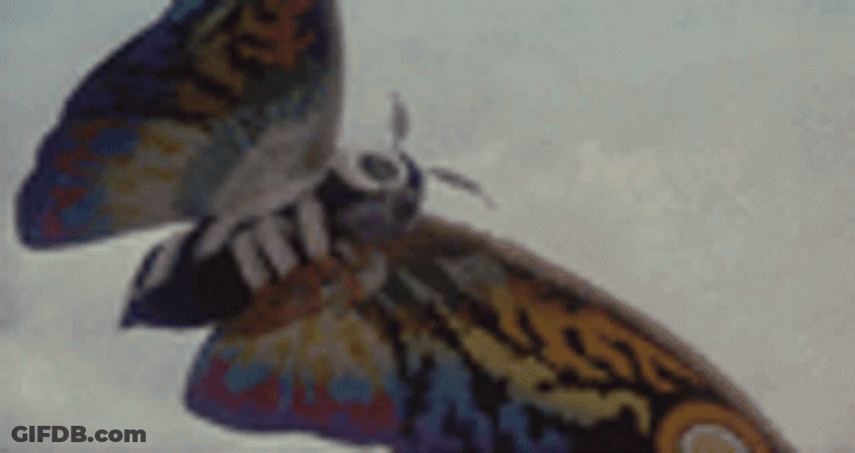 Rainbow Wings Mothra Attack GIF