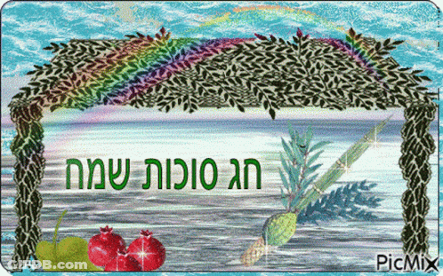 Rainbow With Picmix GIF