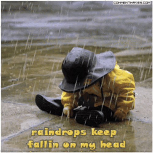 Raindrops Keep Fallin On My Head Rainy Monday GIF
