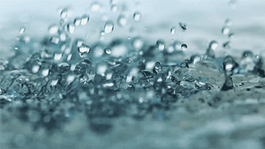 Raindrops Water Bubbling GIF