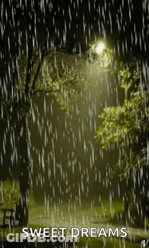 Raining Night Park With Trees And Street Light GIF