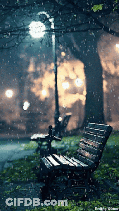 Raining On Bench GIF