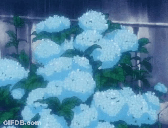 Raining On Blue Anime Flower GIF