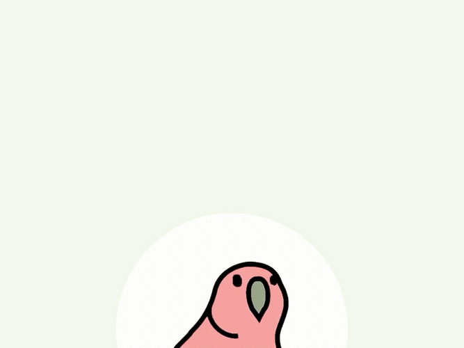 Raining Rainbow Confetti Colorful Party Parrot GIF