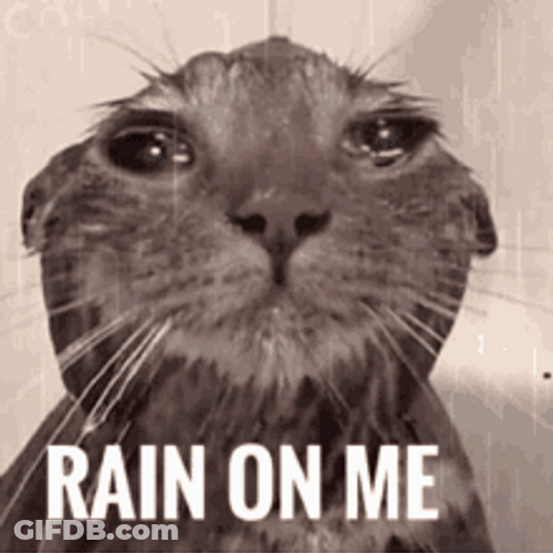 Raining Shower Crying Cat Rain On Me GIF