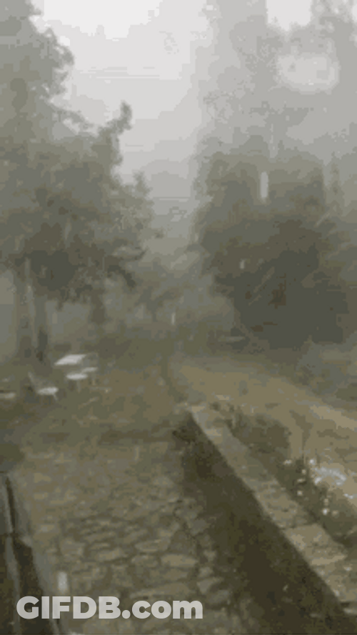Rainy And Wet Weather GIF