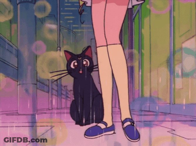 Rainy Friday Sailor Moon And Luna GIF