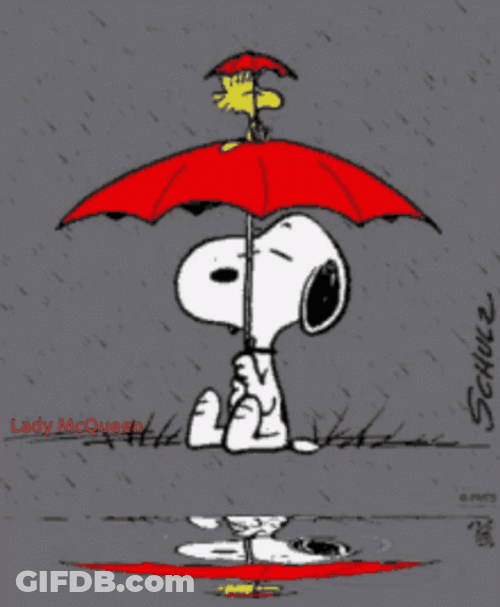 Rainy Friday Snoopy And Woodstock GIF