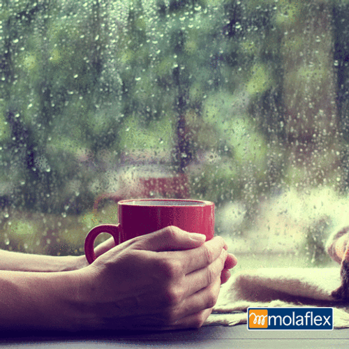 Rainy Good Morning Get Coffee GIF
